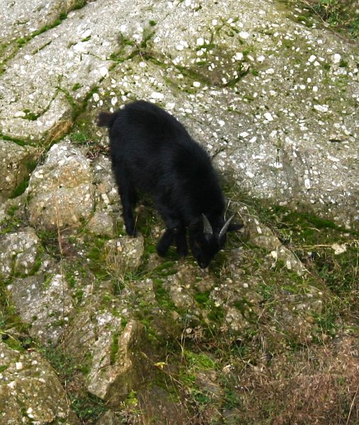 Elbogen Fahrzeugweihe 2012 127.JPG